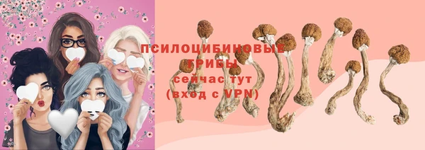 дживик Армянск