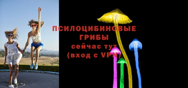 героин Няндома