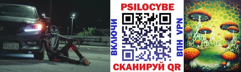 Галлюциногенные грибы мицелий  купить наркотики цена  Прохладный 